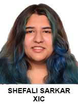 Vidya group coaching